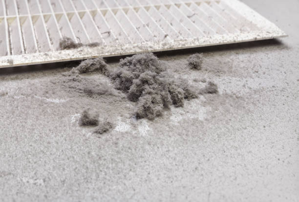 Best HVAC Duct Inspection Services  in Hagerman, ID