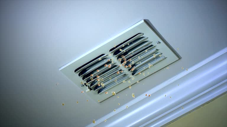 Best Air Duct Cleaning Near Me  in Hagerman, ID