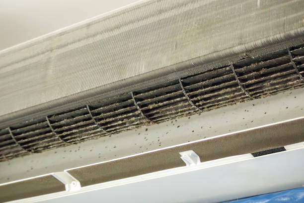 Best Emergency Air Duct Cleaning  in Hagerman, ID
